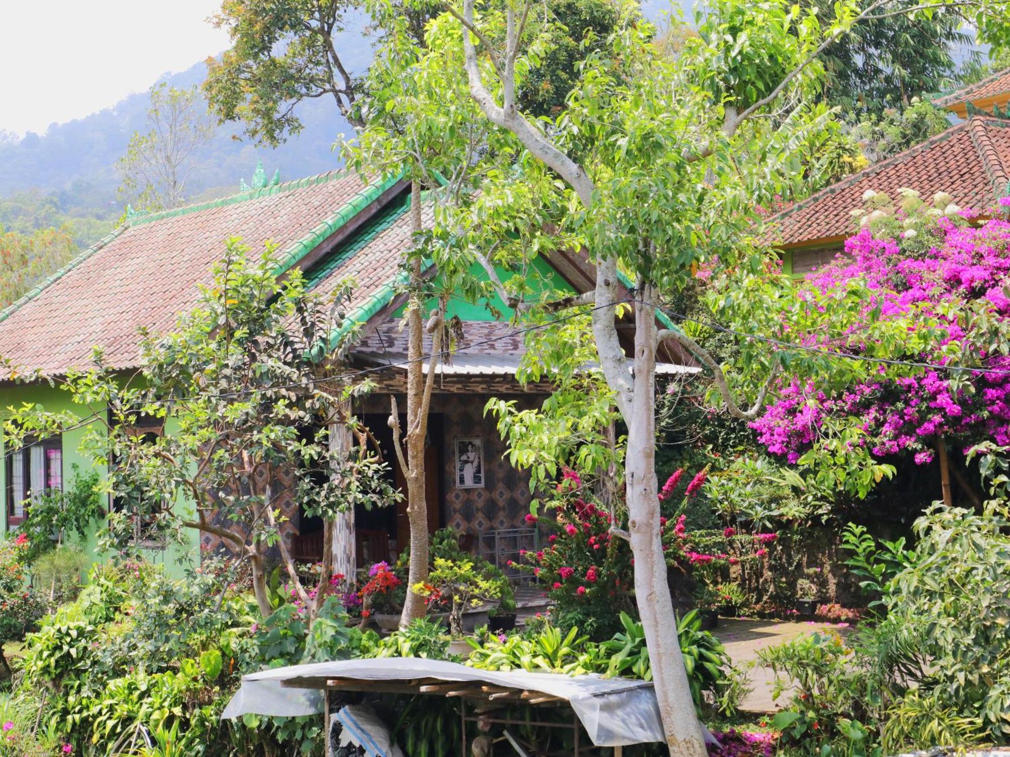 Dajan Buyan Homestay Bedugul  Esterno foto